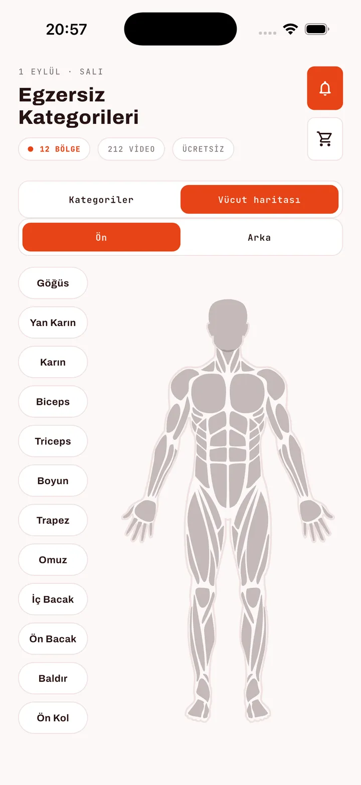 FitApp egzersiz kütüphanesinin vücut haritası görünümü: ön ve arka seçenekleri, anatomik vücut çizimi ve kas grubu etiketleri.